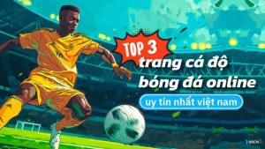 Top 3 các trang web cá độ bóng đá uy tín và an toàn