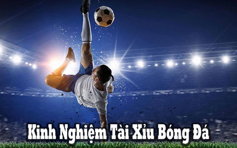 Chuyên gia chia sẻ bí kíp chơi kèo Tài Xỉu bóng đá thắng lớn